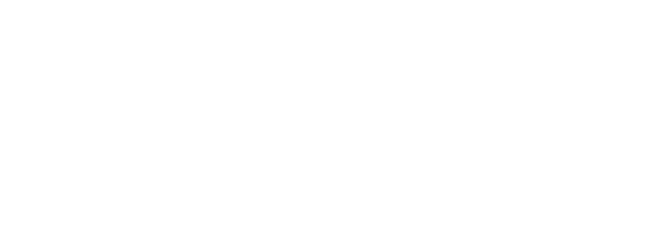 Neon Consulting